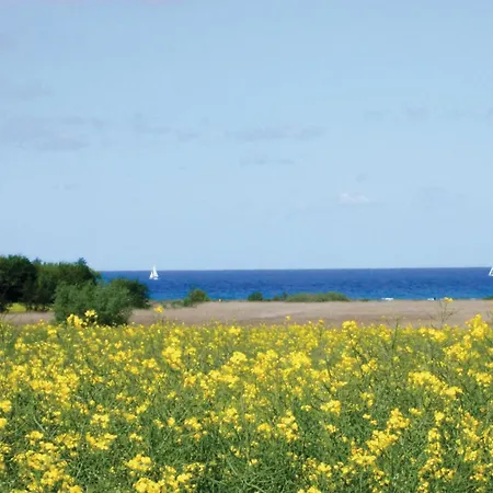 Awesome In インゼル・ペール